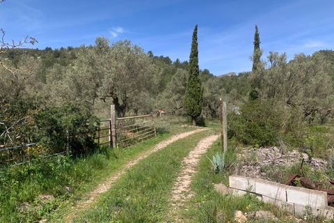 Landejendom i Tortosa, Tarragona, Tortosa - € 139.000 | Ref: Tor9079fra - foto 29